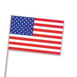 Vendor-unknown American Flag (4x6) Plastic
