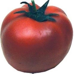 Vendor-unknown Tomato Food And Drink