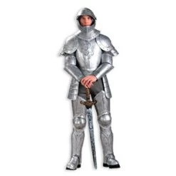 Vendor-unknown Newest Products Knight In Shining Armor