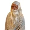 Vendor-unknown Father Time Wig Set