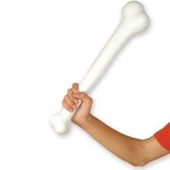 Vendor-unknown Giant Bone Newest Products