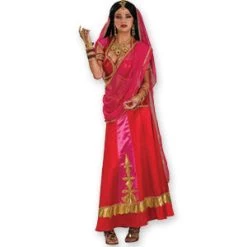 Vendor-unknown Newest Products Bollywood Beauty Costume