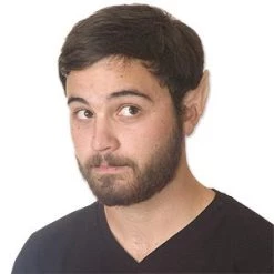Vendor-unknown Elf Ear Tips