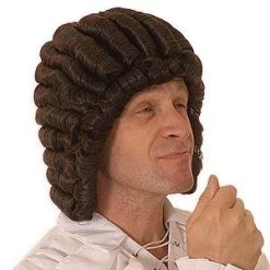 Vendor-unknown Bach Wig