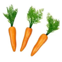 Vendor-unknown Carrot